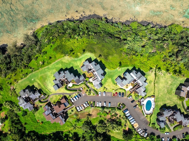 drone / aerial view