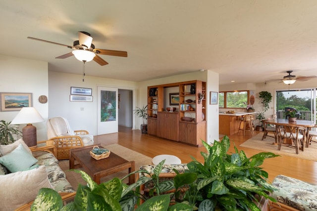 living area featuring a ceiling fan and light wood-style floors