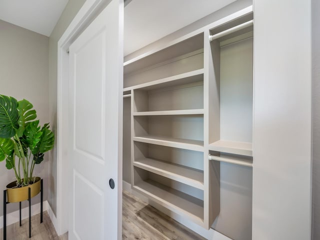 view of closet