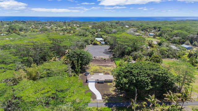 aerial view of a nearby body of water