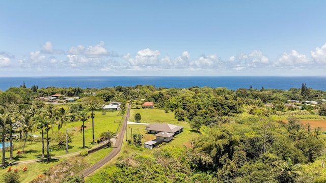 27-525 Kalaoa Camp Rd, Papaikou, HI 96781 - birds eye view of property with a water view