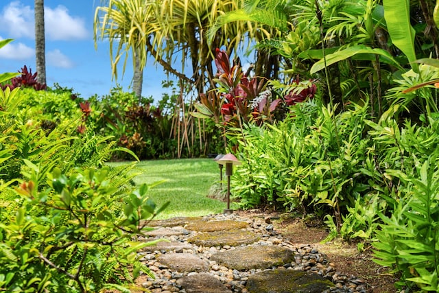 3704 Anini Rd, Kilauea, HI 96754 - view of yard