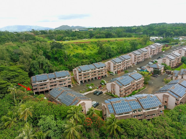3411 Wilcox Rd Unit Fii65, Lihue, HI 96766 - aerial view of a forest