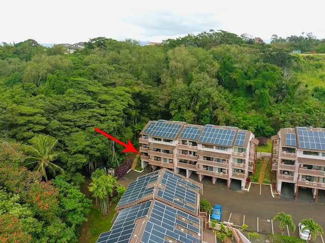 3411 Wilcox Rd Unit Fii65, Lihue, HI 96766 - aerial view of a heavily wooded area