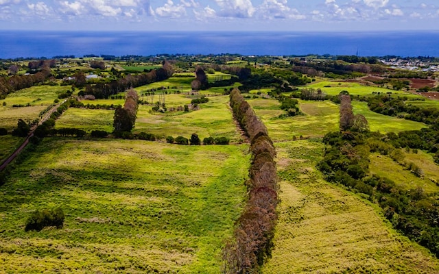 28-583 Kaupakuea Homestead Rd, Pepeekeo, HI 96783