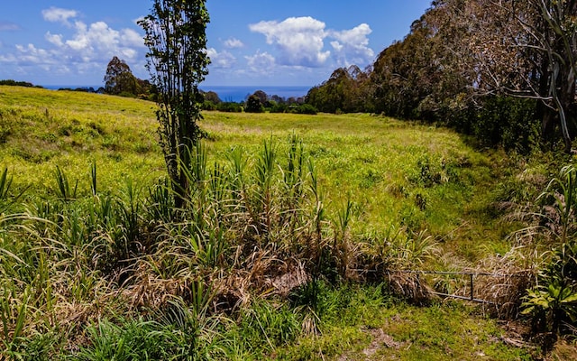 28-583 Kaupakuea Homestead Rd, Pepeekeo, HI 96783