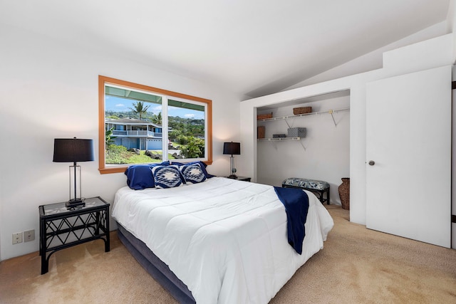 carpeted bedroom featuring lofted ceiling and a closet