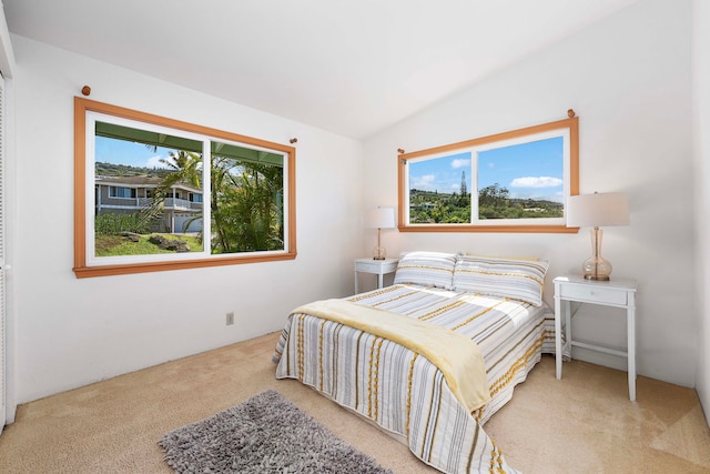 bedroom with carpet, multiple windows, and vaulted ceiling