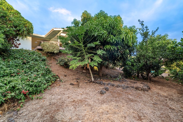 view of yard
