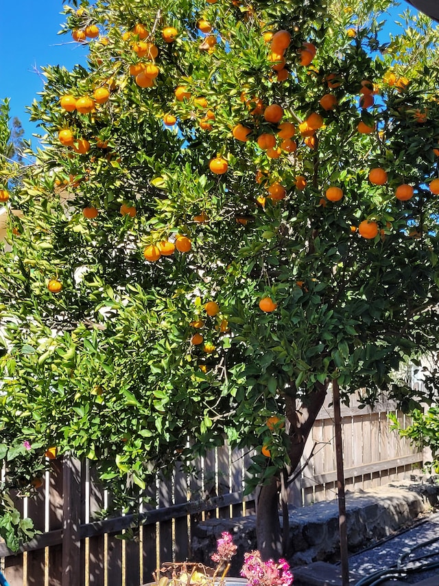 exterior view of fence