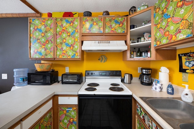 kitchen featuring ventilation hood, electric range, black microwave, a sink, and a textured ceiling