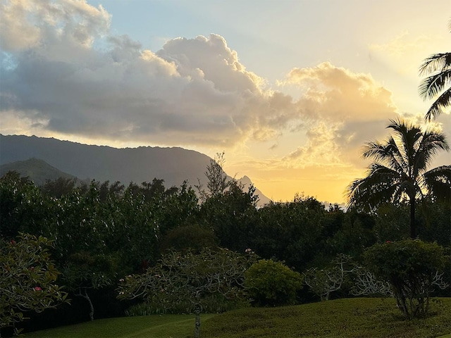 5380 Honoiki Rd Unit F16, Princeville, HI 96722 - view of mountain backdrop