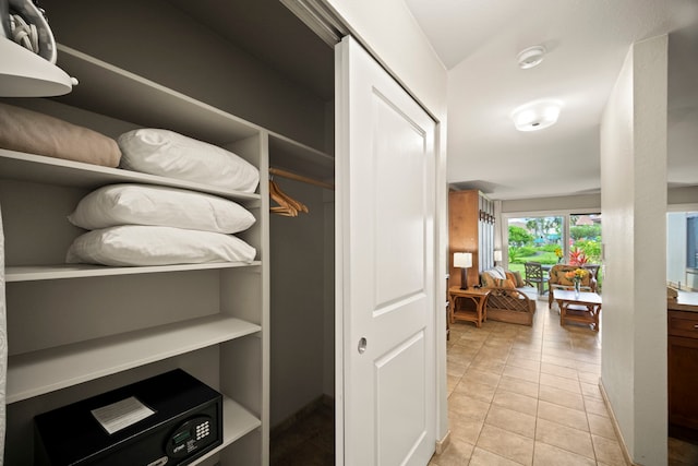 view of closet