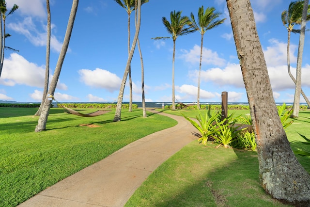 surrounding community with a yard