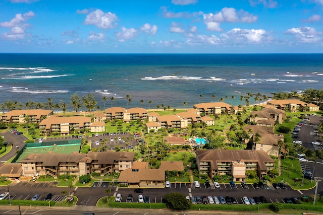 aerial perspective of suburban area featuring a large body of water