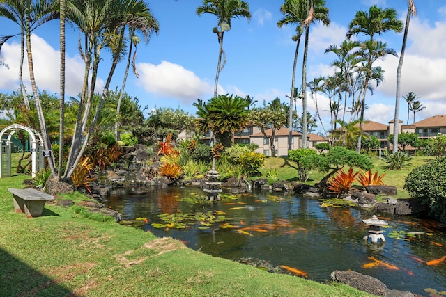 water view featuring a small pond