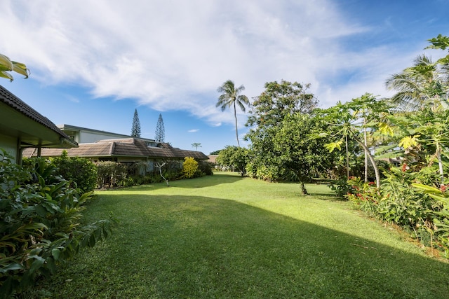 3880 Wyllie Rd Unit 5A, Princeville, HI 96722 - view of grassy yard