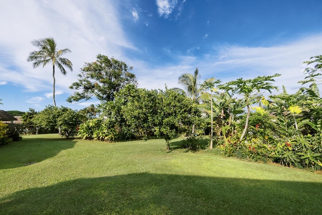 3880 Wyllie Rd Unit 5A, Princeville, HI 96722 - view of grassy yard