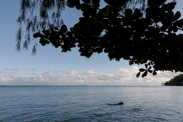 3880 Wyllie Rd Unit 5A, Princeville, HI 96722 - water view