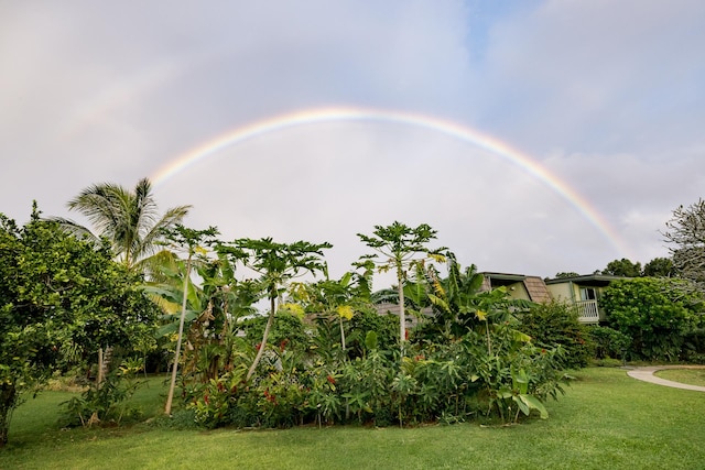 3880 Wyllie Rd Unit 5A, Princeville, HI 96722 - view of grassy yard