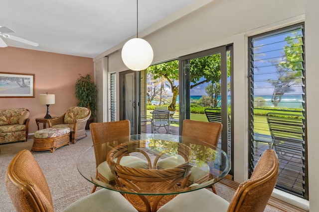 4460 Nehe Rd Unit 122, Lihue, HI 96766 - carpeted dining space with ceiling fan