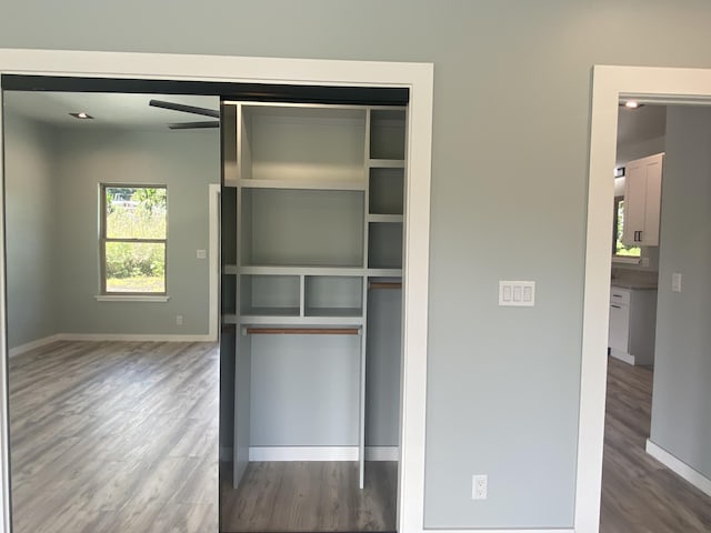 view of closet