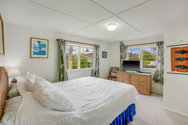 963 Niulani Rd, Kapaa, HI 96746 - bedroom with multiple windows, light carpet, and baseboards