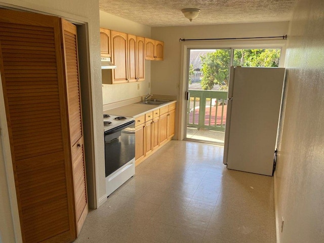 kitchen featuring white appliances, light brown cabinets, under cabinet range hood, a textured ceiling, and a sink