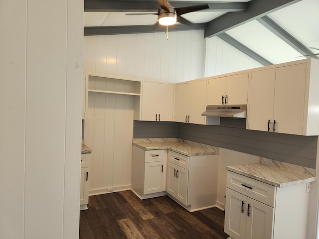 kitchen with under cabinet range hood, dark wood-style flooring, a ceiling fan, and light countertops