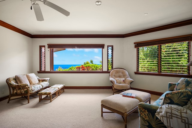 2620-A Kauapea Rd, Kilauea, HI 96754 - living area with baseboards, healthy amount of natural light, ornamental molding, and carpet flooring