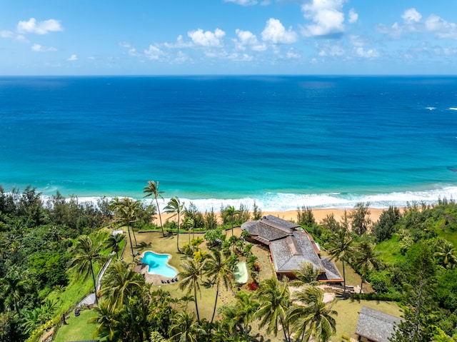 2620-A Kauapea Rd, Kilauea, HI 96754 - bird's eye view of unending shoreline and a pool area