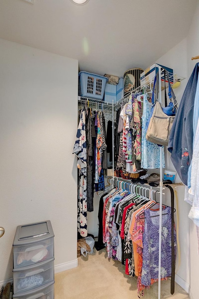 28-3543 Honomu Ln, Honomu, HI 96728 - walk in closet featuring carpet