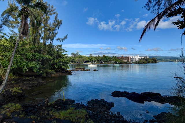 355 Kalanianaole St Unit 119, Hilo, HI 96720 - water view