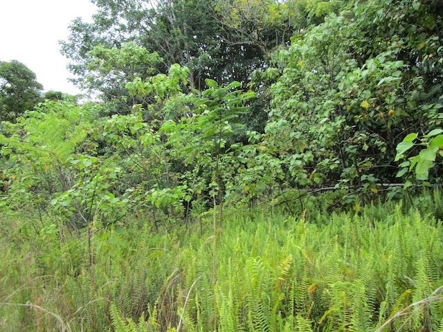 923 Kaumana Dr, Hilo, HI 96720