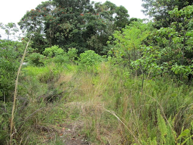 923 Kaumana Dr, Hilo, HI 96720