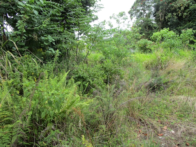 923 Kaumana Dr, Hilo, HI 96720