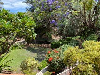 68-1753 Laie Pl, Waikoloa, HI 96738 - view of yard