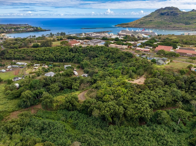 Kahumoku Rd Unit 6, Lihue, HI 96766