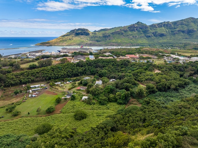 Kahumoku Rd Unit 6, Lihue, HI 96766