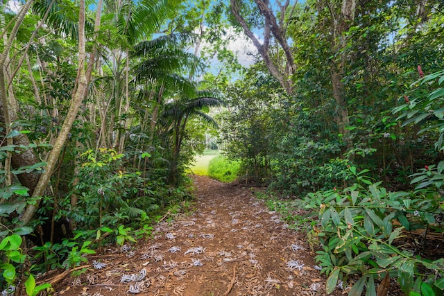 5-1105 Kuhio Hwy Unit 5, Kilauea, HI 96754 - view of local wilderness
