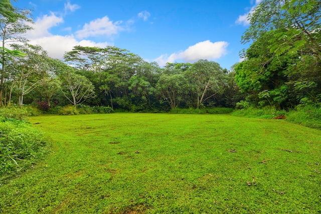 5-1105 Kuhio Hwy Unit 5, Kilauea, HI 96754 - view of green lawn with a forest view