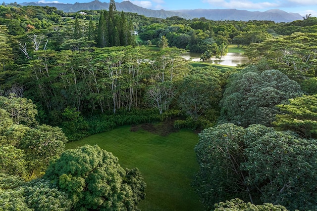 5-1105 Kuhio Hwy Unit 5, Kilauea, HI 96754 - view of mountain background featuring a nearby body of water and a forest
