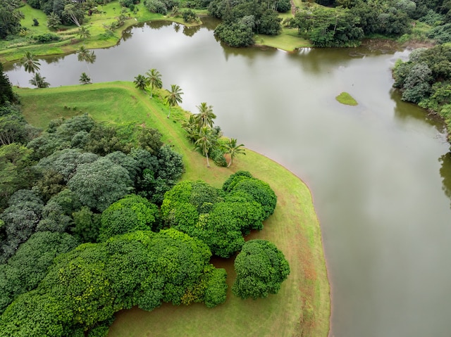 5-1105 Kuhio Hwy Unit 5, Kilauea, HI 96754 - drone / aerial view of a nearby body of water