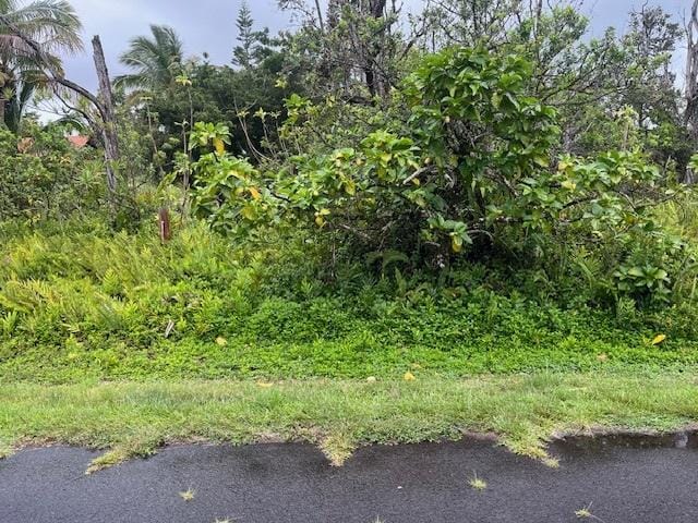 Lawaianui St, Pahoa HI, 96778 land for sale