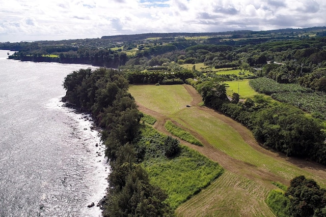 29-3818 Hawaii Belt Rd, Hakalau, HI 96710