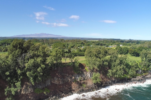 29-3818 Hawaii Belt Rd, Hakalau, HI 96710