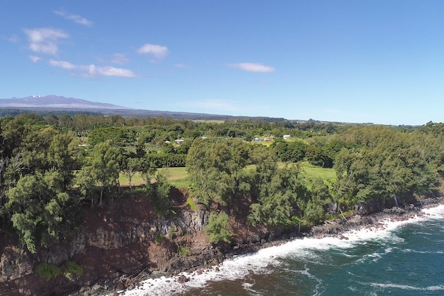 29-3818 Hawaii Belt Rd, Hakalau, HI 96710