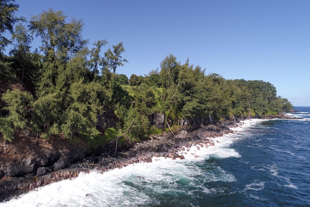 29-3818 Hawaii Belt Rd, Hakalau, HI 96710