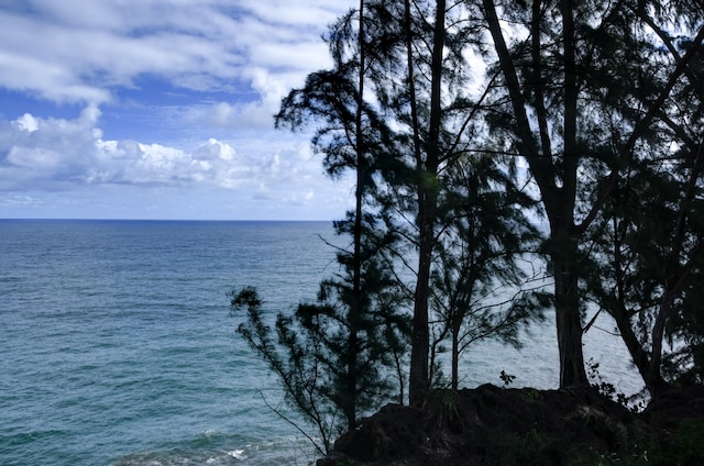 29-3818 Hawaii Belt Rd, Hakalau, HI 96710