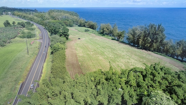 29-3818 Hawaii Belt Rd, Hakalau, HI 96710